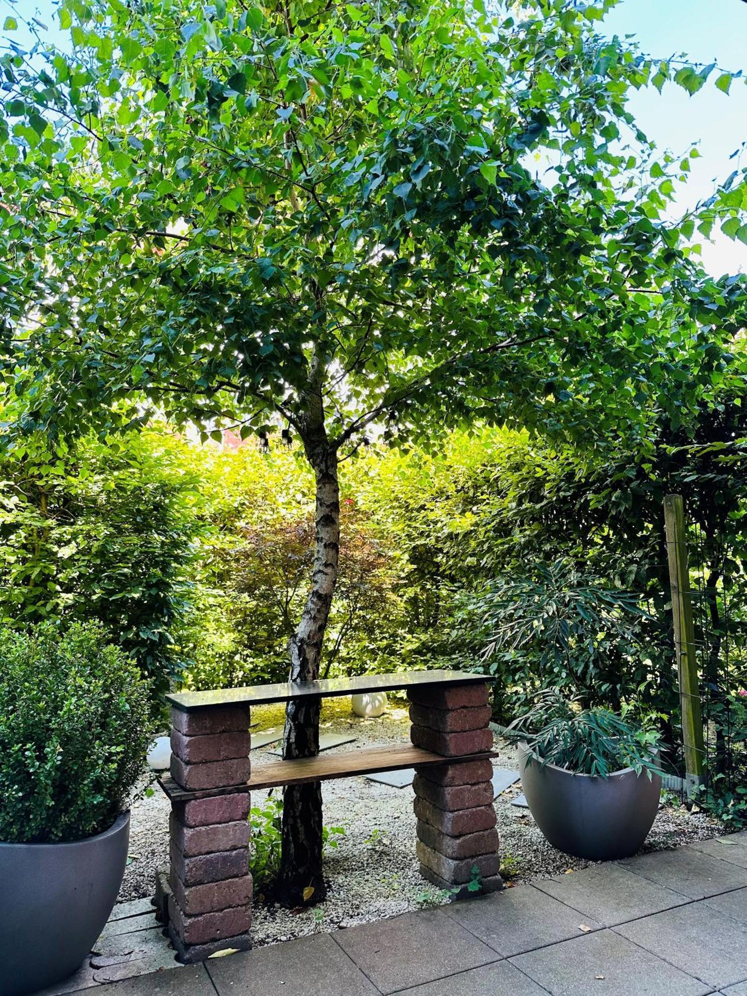 Bee61 * Langen Exklusiv Fuer 4 Personen *vollausstattung Mit Kueche* Inklusive Terrasse Apartment